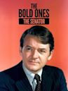 The Bold Ones: The Senator