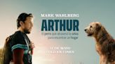 Te invitamos al preestreno de ‘Arthur’, la última película protagonizada por Mark Wahlberg