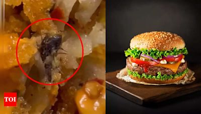 Watch: After dead mouse in chocolate syrup, dead insect found in burger of a popular joint - Times of India