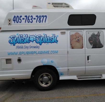 splish splash mobile dog grooming