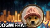 What Is Dogwifhat (WIF)? Why Is It The Rising Meme Coin?