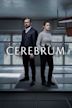 Cerebrum