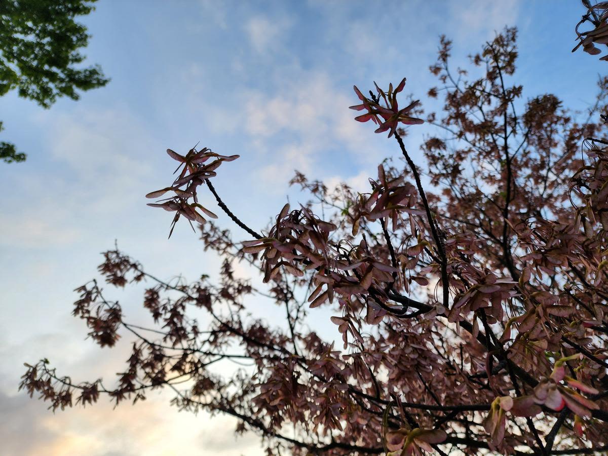 Beautiful, warm spring weather returns to NJ for two whole days