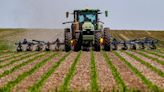 As summer officially begins, crops catching up nicely