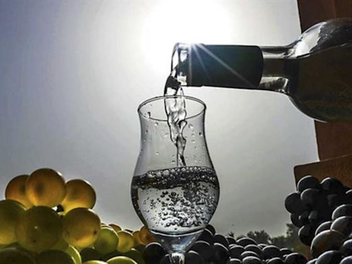 Feria del Pisco 2024 en Chile: cuándo es, fechas y dónde comprar entradas para el evento