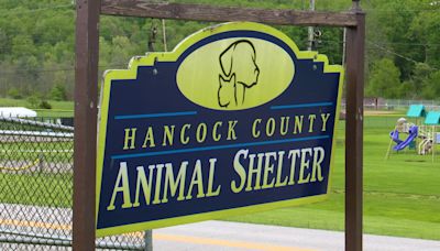 14 dogs find homes after two local families make donation to Hancock County Animal Shelter