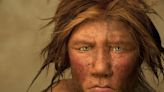 Neanderthals "more human" than generally assumed, says living space study