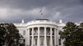 Video of bird landing on White House reporter's head goes viral