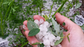 Mainers warned of 'ping pong ball sized' hail during Thursday storms