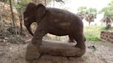 2,300-year-old Buddhist elephant statue from India is one of the oldest known