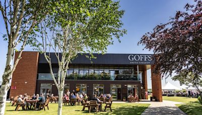 Chris Giles Dispersal heads Goffs Doncaster Summer Sale catalogue