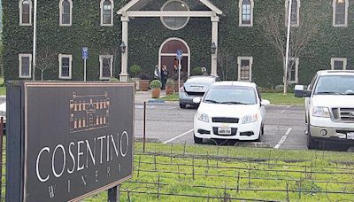 Vintage Wine Estates files for bankruptcy, sells Cosentino Winery in Napa Valley