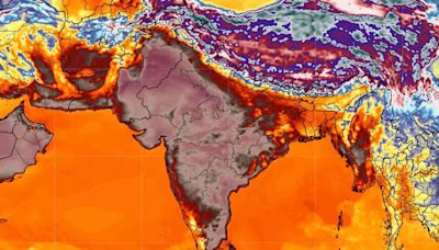 Entre muertes y escasez de agua, India rompió un récord de calor histórico