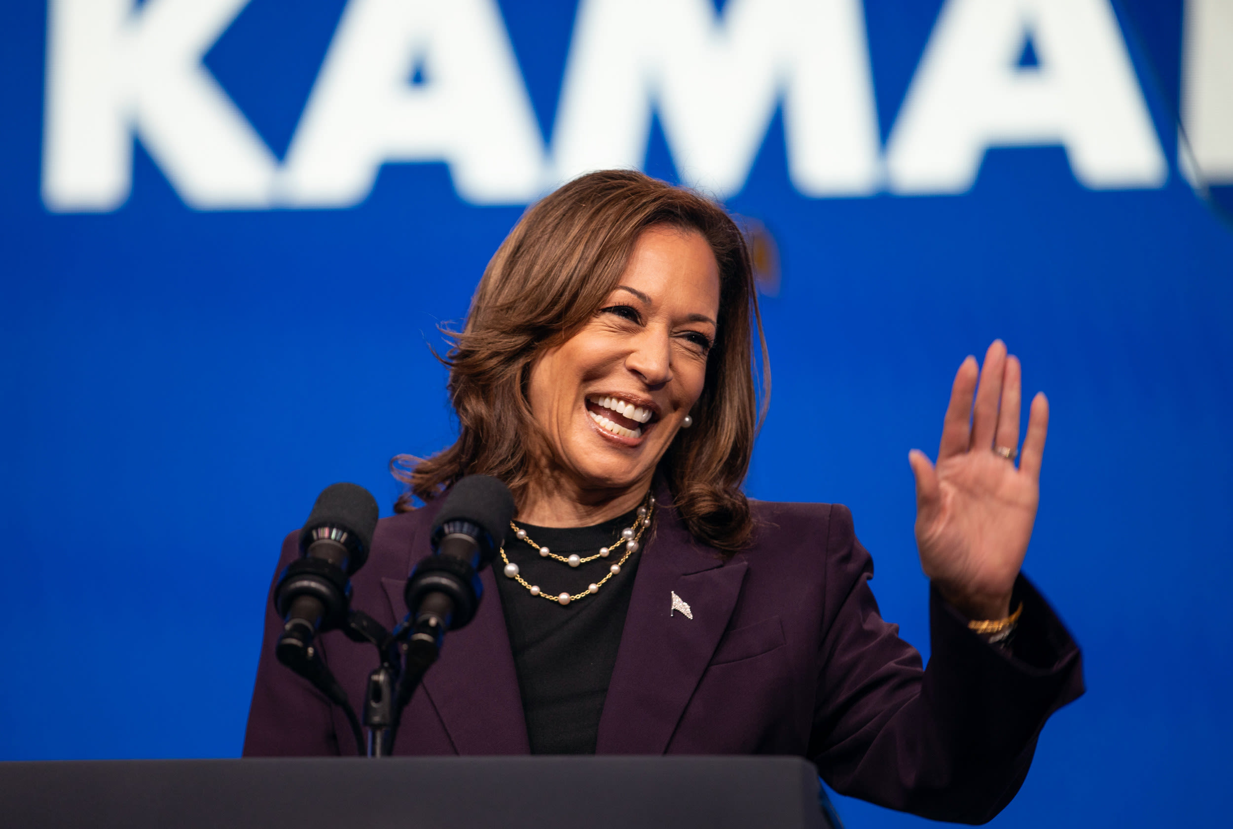 Kamala Harris gets new positive sign, poll shows