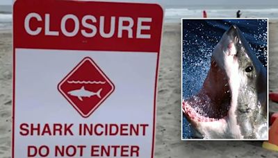 California man survives shark attack by reportedly punching predator 'inside its mouth'