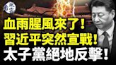 血雨腥風來了！習近平突然宣戰！太子黨絕地反擊！(視頻) - 動向 -