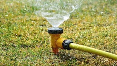 Gardeners warned ‘never’ put fertiliser on lawn