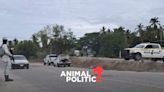 Hallan cinco asesinados en el municipio de Tecpan, Guerrero