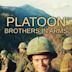 Platoon: Brothers in Arms