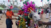 Donkeys take center stage at an annual festival in Colombia