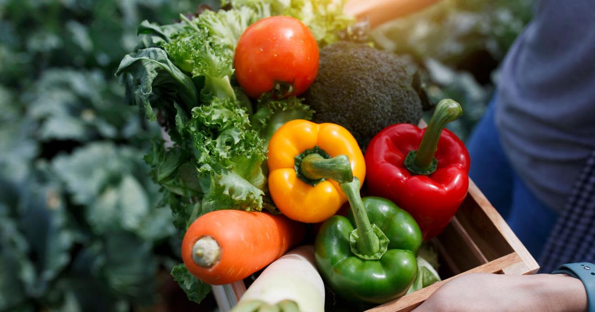 A fresh way to shop: Senior farmers market nutrition program