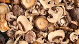 Portobello Mushrooms Vs Shiitake: Everything You Need To Know