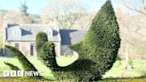 Scots gardener wins award for Moby Dick inspired hedge