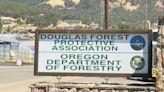 Douglas Forest Protective Association urges caution when burning yard debris