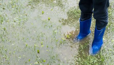 My neighbor’s sump pump drains onto my property — now my yard is a swampy mess. Do I have legal recourse?