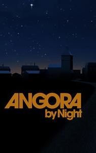 Angora by Night