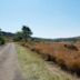 Groenkloof Nature Reserve