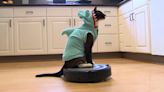 Hitting the Books: How Dave Chappelle and curious cats made Roomba a household name