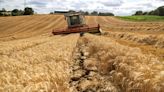 As climate change threatens European agriculture, debate over GMO crops is reignited