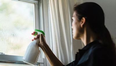 Cleaning with waste food item leaves windows 'free of streaks'