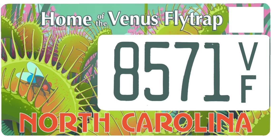 NC car owners can finally get a license plate celebrating the ‘panda of the plant world’