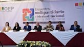 TSE presentó proyecto de ley para eliminar primarias - El Diario - Bolivia