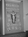 Women's professional wrestling