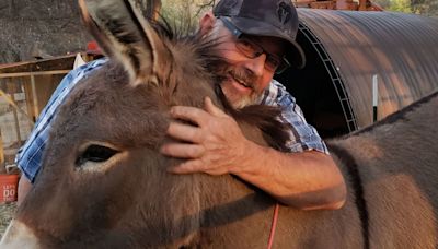 A pet donkey disappeared in California five years ago. He’s been spotted living with a herd of wild elk