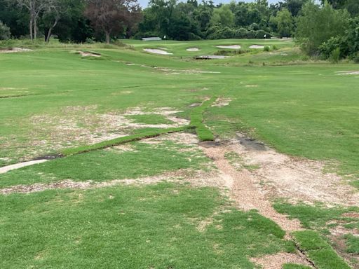 NCAA women's golf regional sites marked by 'rough, rough conditions,' goose poop