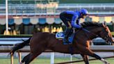 Flightline's Half-Brother Eagles Flight To Debut Monday At Santa Anita