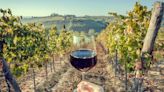 Travel Expert’s 6 Top Places In France For A Fabulous Wine Vacation