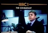 The Consultant