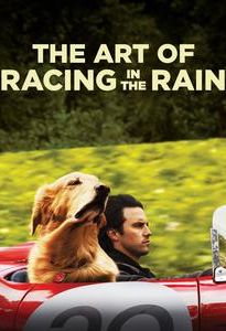 The Art of Racing in the Rain