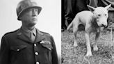Una amistad eterna: el general George S. Patton y Willie, su inseparable bull terrier