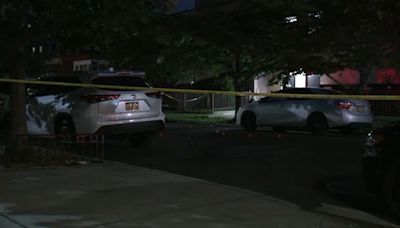 Man shot in the back in Brooklyn