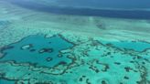 專家：澳洲大堡礁應列入瀕危世界遺產名錄