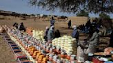 First UN food supplies arrive in Sudan's Darfur after months but millions face acute hunger