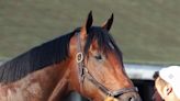 Sierra Leone Makes First Appearance at Churchill Downs