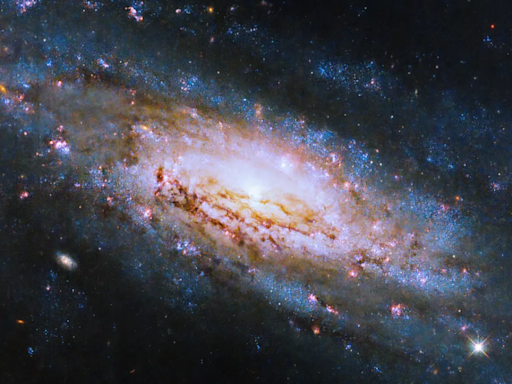 Hubble Telescope Snaps Stunning Spiral Galaxy With A Voracious Hidden Black Hole