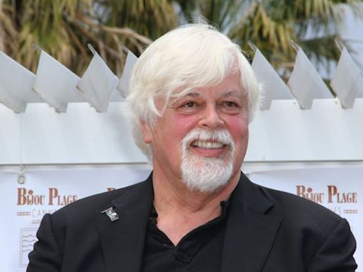 Danemark : Le Japon demande l’extradition du militant anti-chasse à la baleine Paul Watson